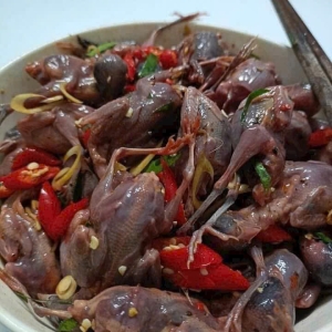 chim-se-nuong