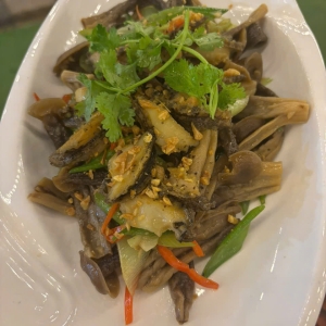 bao-ngu-xao-nam-loc-nhung
