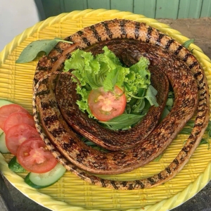 ran-ho-ven-nuong-moi