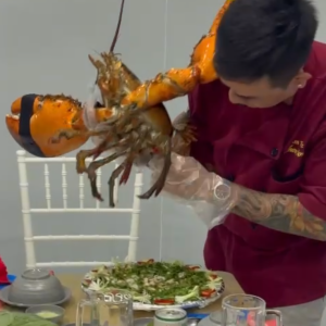 tiet-canh-tom-alaska